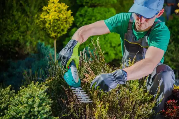landscaping services Vicksburg